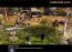 Age of Empires III. The Warchiefs Demo