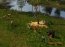 The Warchiefs Age of Empires 3 Expansion Demo
