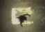 Alone in the Dark 5  Video