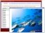 Animated GIF Creator 1.30.1
