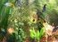 Aqua 3D Screensaver 1.52