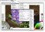 ArtRage 2.5 Free Edition Engelsk