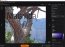 Ashampoo Photo Optimizer 2.01 Espa�ol
