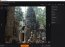 Ashampoo Photo Optimizer 2.01 Engelska