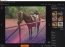 Ashampoo Photo Optimizer 3.13