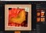 Ashampoo Photo Optimizer 3.13