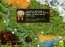 Ballville: The Beginning Demo Deutsch