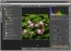 Bibble  5 Preview 2.2