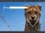 Bing 20090601 Espa�ol