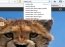 Bing  20090601