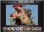 CameraBag  Desktop 1.0