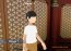 Carom3D 5.17