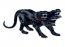 Cerberus