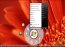 Circle Dock 1.5.6.30