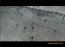 Company of Heroes  Demo