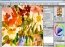 Corel Painter X
