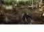 Crysis Demo