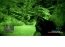 Crysis Demo