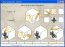 CubeTest  0.9.3 Espa�ol