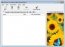 Easy2Sync for Outlook 4.07
