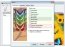 Easy2Sync for Outlook 4.07