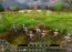 Elven Legacy Demo