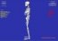 Esqueleto 3D 2.0 Espa�ol