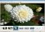 Eye of GNOME 3.2.0