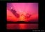 FastStone Image Viewer Portable 3.9 Angielski