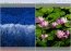 FastStone Image Viewer Portable 3.6
