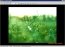 FastStone MaxView 2.1 Inglese