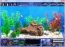 Fish Tycoon  1.00 English