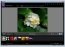 Flickroom  0.30 Beta Espa�ol