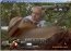 Free AVI Movie Player  1.2.326.1 Beta Ingl�s