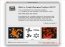 Graphic Designer Toolbox 1.2.3 Englez�