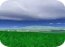 Green Fields 3D Screensaver