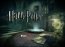 Harry Potter and the Half-Blood Prince  Demo