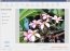 Kodak EasyShare 8.3.0.17