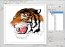 KOffice 2.0.1