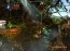LEGO Indiana Jones  Demo Ingl�s