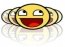 MSN Winks Plus
