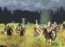 The Elder Scrolls IV: Oblivion Video Engelska