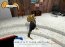 Octodad 1.5.1