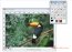 PaintStar 2.70