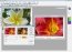Photo Pos  Lite 1.64