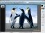 PhotoFiltre 9.2.2