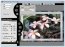PhotoGraphic Edges 7.1