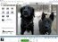 Picasa 2.7.37.64 Polski