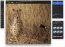 Pixelmator 1.5 Espa�ol
