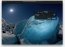 Pixelmator 1.5 Espa�ol
